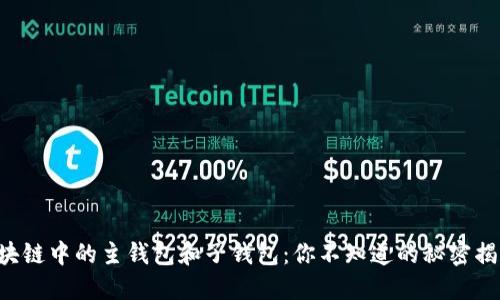 区块链中的主钱包和子钱包：你不知道的秘密揭示！