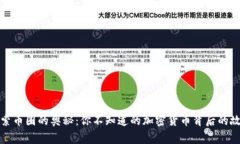 探索币圈的奥秘：你不知道的加密货币背后的故