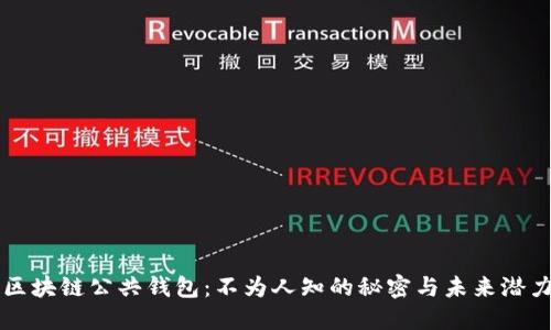 区块链公共钱包：不为人知的秘密与未来潜力