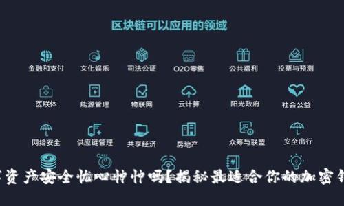 你还在为数字资产安全忧心忡忡吗？揭秘最适合你的加密钱包解决方案！