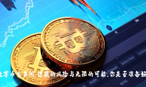 数字币交易所：隐藏的风险与无限的可能，你是否准备好？