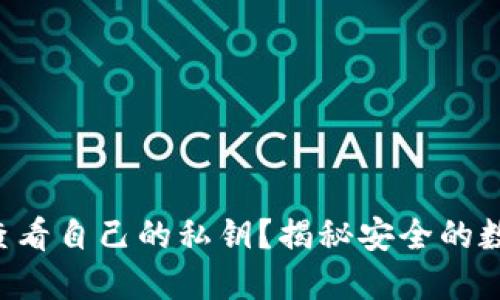 如何在TP钱包中查看自己的私钥？揭秘安全的数字资产管理之道！