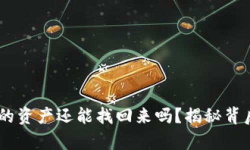 tpwallet被盗后，您的资产还能找回来吗？揭秘背后的真相与应对措施