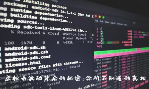 虚拟币波动背后的秘密：你所不知道的真相