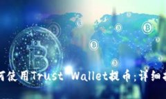 如何使用Trust Wallet提币：详细指南