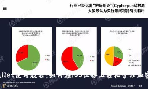 TPWallet使用教程：如何在iOS设备上轻松管理加密货币