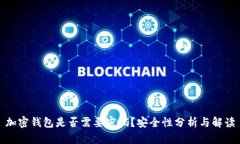 加密钱包是否需要密码？安全性分析与解读
