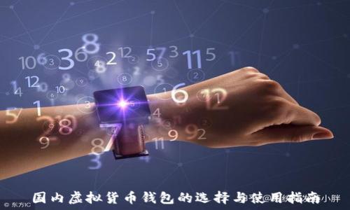   
国内虚拟货币钱包的选择与使用指南