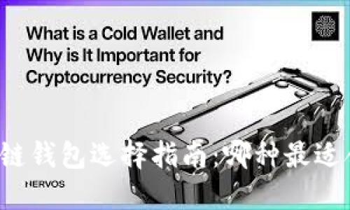 区块链钱包选择指南：哪种最适合你？