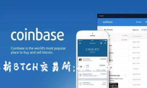 全面解析BTCH交易所：功能、优势及未来发展