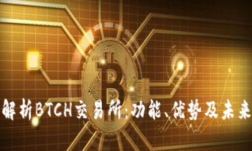 全面解析BTCH交易所：功能、优势及未来发展