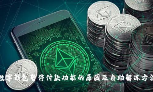 数字钱包暂停付款功能的原因及自助解冻方法