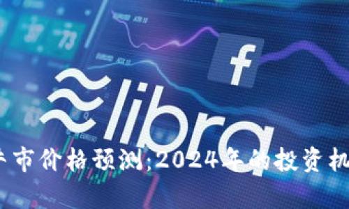 Sol币下一个牛市价格预测：2024年的投资机会与走势分析