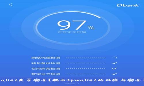 : tpwallet是否安全？揭示tpwallet的风险与安全性分析