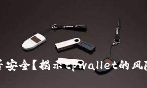 : tpwallet是否安全？揭示tpwallet的风险与安全性分析