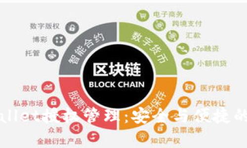 全面解析TPWallet授权管理：安全与便捷的数字资产管理