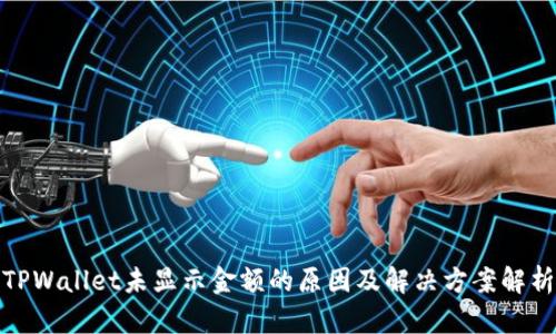 TPWallet未显示金额的原因及解决方案解析