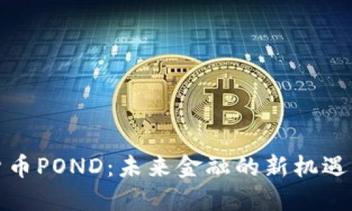 数字货币POND：未来金融的新机遇与挑战