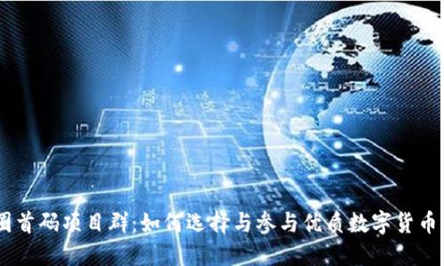 币圈首码项目群：如何选择与参与优质数字货币项目