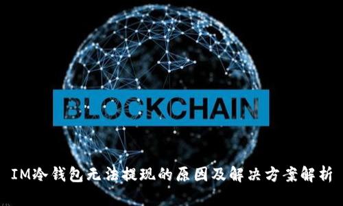 IM冷钱包无法提现的原因及解决方案解析
