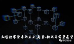 加密数字货币的未来：趋势、挑战与前景展望