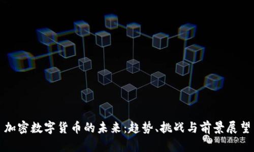 加密数字货币的未来：趋势、挑战与前景展望