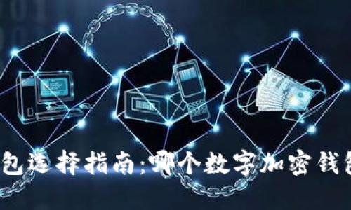 数字加密钱包选择指南：哪个数字加密钱包更适合你？