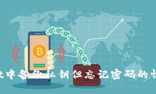 如何在TPWallet中备份私钥但忘记密码的情况下找回资产？