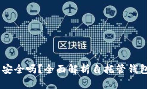 自托管加密钱包安全吗？全面解析自托管钱包的安全性与风险
