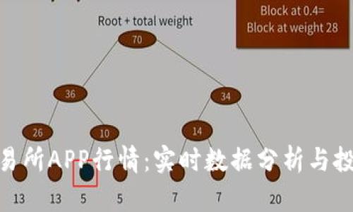 Pi币交易所APP行情：实时数据分析与投资策略