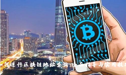 如何进行区块链地址查询：全面指导与实用技巧