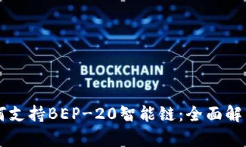 TPWallet如何支持BEP-20智能链：全面解析与应用指南