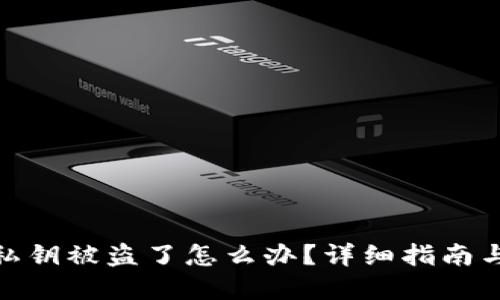 tpwallet私钥被盗了怎么办？详细指南与应对措施