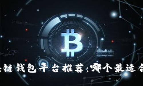 区块链钱包平台推荐：哪个最适合你？