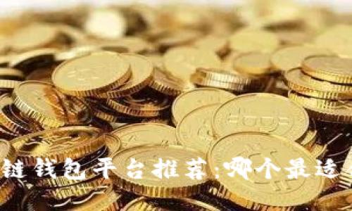 区块链钱包平台推荐：哪个最适合你？