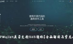 ### TPWallet是否支持BHB转账？全面解析与常见问题