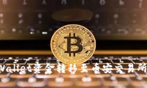如何将TP Wallet资金转移至币安交易所的详细指南
