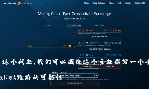 对于“tpwallet可以跑路吗”这个问题，我们可以围绕这个主题撰写一个全面的内容大纲和相关信息。

TPWallet安全吗？探究TPWallet跑路的可能性