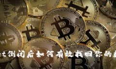 TPWallet倒闭后如何有效找回你的数字资产