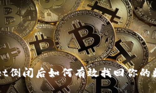 TPWallet倒闭后如何有效找回你的数字资产