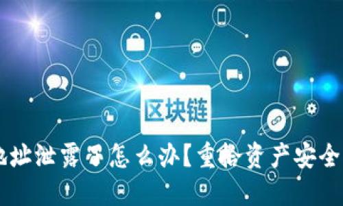 TPWallet地址泄露了怎么办？重拾资产安全的实用指南