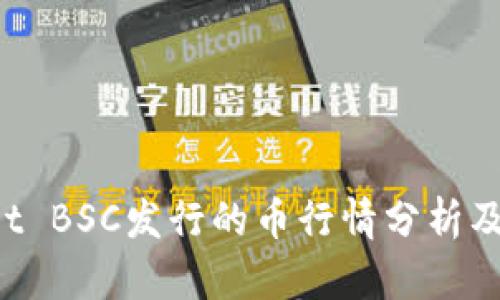 TP Wallet BSC发行的币行情分析及投资指南