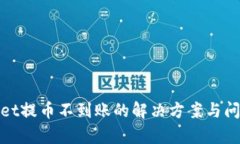 tpwallet提币不到账的解决方案与问题分析