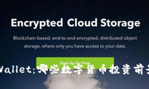2023年TPWallet：哪些数字货币投资前景值得关注？