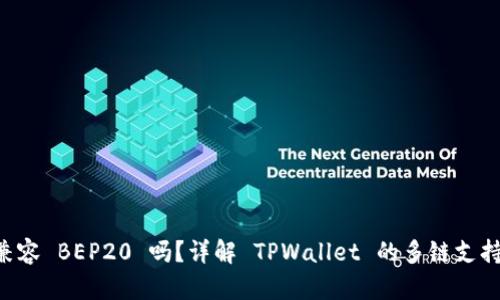 TPWallet 兼容 BEP20 吗？详解 TPWallet 的多链支持与用户指南