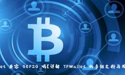TPWallet 兼容 BEP20 吗？详解 TPWallet 的多链支持与用户指南