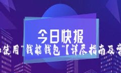  如何下载和使用“钱能钱包”？详尽指南及常见