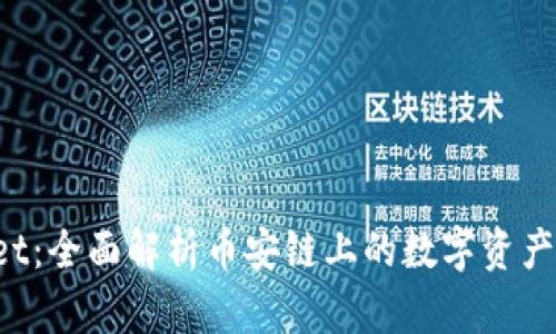 TP Wallet：全面解析币安链上的数字资产管理方案