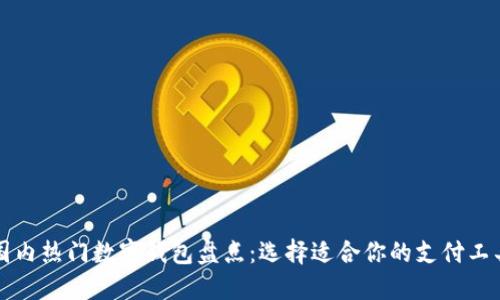 国内热门数字钱包盘点：选择适合你的支付工具