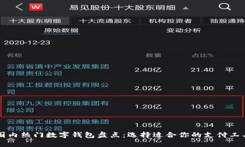 国内热门数字钱包盘点：选择适合你的支付工具